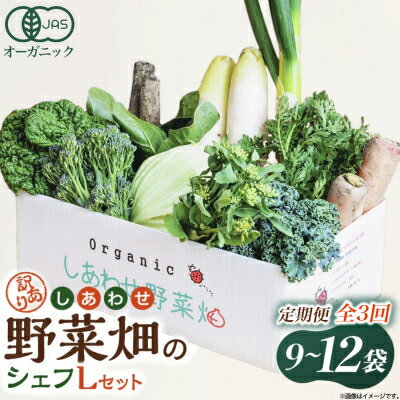 【ふるさと納税】【定期便】しあわせ野菜畑のシェフLセット (訳あり規格外の有機野菜を一部使用)3回、6回、12回便 【配送不可地域:離島・北海道・沖縄県・四国・...