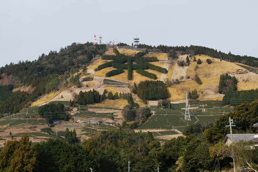 【ふるさと納税】世界農業遺産 静岡の茶草場農法 掛川深蒸し茶 普段使い熱湯用