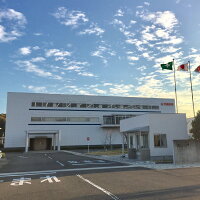 非常時に大活躍!カセットガス式発電機EF900iSGB