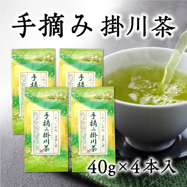 【ふるさと納税】希少な手摘み掛川茶40g×4袋セット〔お茶・緑茶・煎茶・茶葉・静岡・掛川茶〕