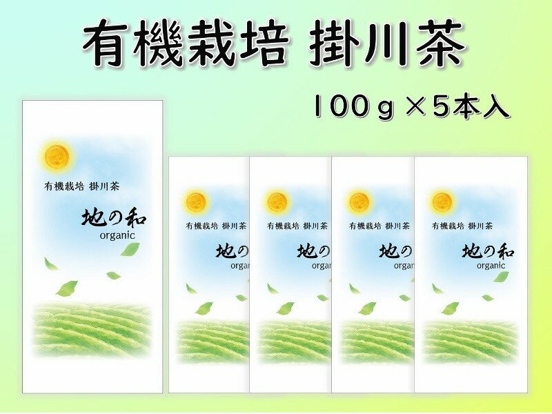 お茶 緑茶 有機栽培 オーガニック 掛川茶 100g×5本 浅蒸し茶 佐々木製茶〔 浅蒸し 緑茶 静岡 掛川茶 茶葉 〕