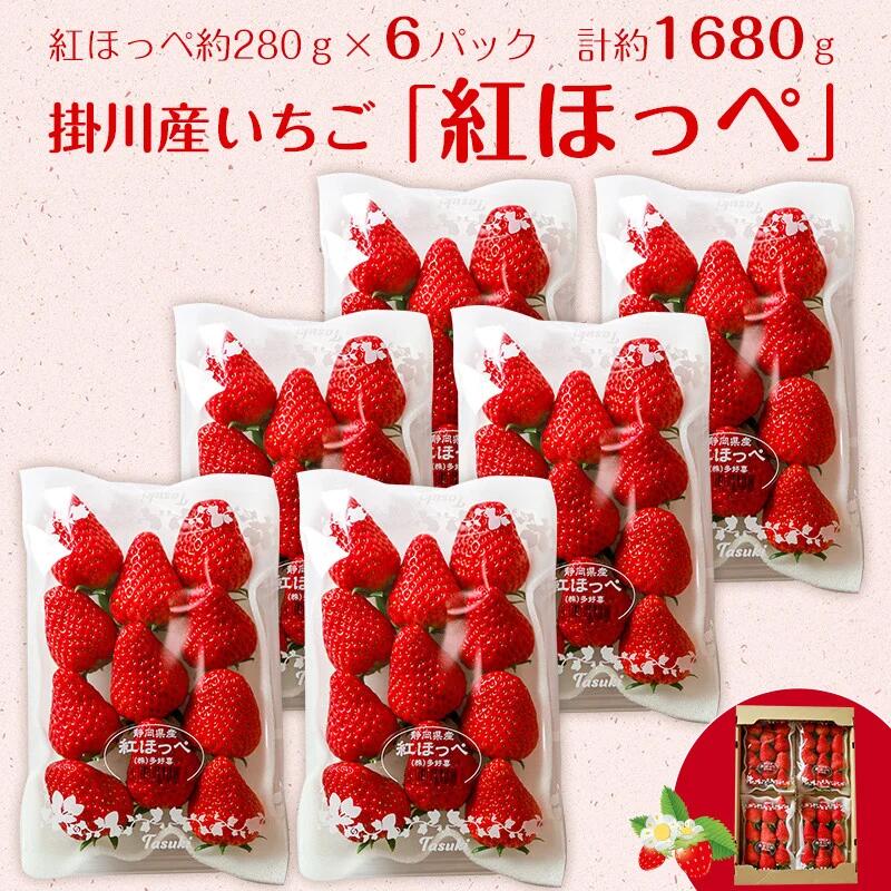 【ふるさと納税】掛川産苺「紅ほっぺ」280g×6P　計1，680g【4月～5月にかけて受付順に順次発送】(株)多好喜〔イチゴ・いちご・静岡産〕