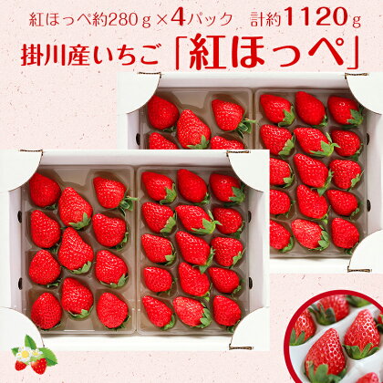 イチゴ 苺 いちご 【4月～5月発送】掛川産苺「紅ほっぺ」280g×4P　計1，120gセット　(株)多好喜〔イチゴ いちご 紅ほっぺ 掛川産 静岡産〕