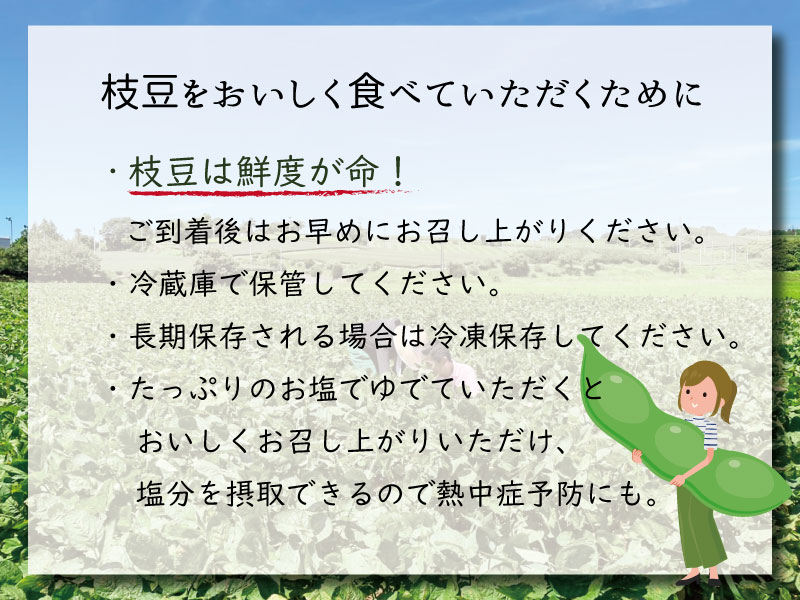 【ふるさと納税】 甘くてほくほく『湯あがり娘』食味の良さが自慢の枝豆 1.25kg（250g×5袋）毎年6月中旬～7月下旬にかけて受付順で発送（枝豆、生豆、小袋入り、茶豆風味、特別栽培、先行予約）ヴァインヤード 3