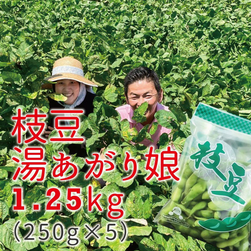 甘くてほくほく『湯あがり娘』食味の良さが自慢の枝豆 1.25kg(250g×5袋)毎年6月中旬〜7月下旬にかけて受付順で発送(枝豆、生豆、小袋入り、茶豆風味、特別栽培、先行予約)ヴァインヤード