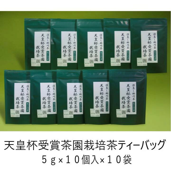 【ふるさと納税】天皇杯受賞茶園栽培茶深蒸し掛川茶ティーバッグ（5g×10個）×10袋〔お茶・緑茶・煎茶・ティーバッグ・静岡・掛川茶〕