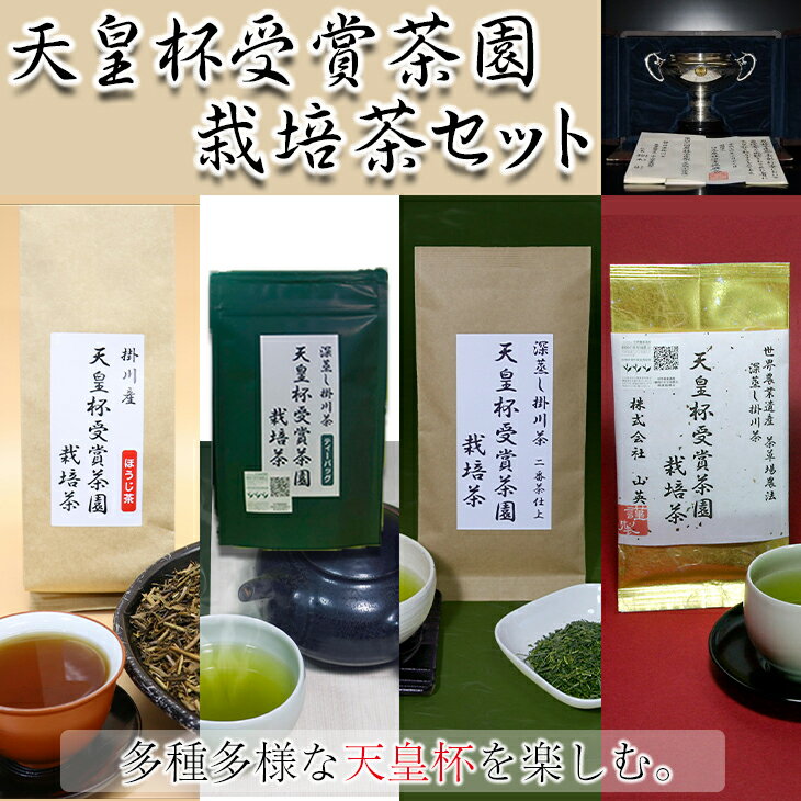 お茶 緑茶 天皇杯受賞茶園栽培茶 4種 計9袋セット(プレミアム1袋・2番茶仕上げ3袋・ティーバッグ3袋・ほうじ茶2袋) 山英〔 天皇 天皇杯 静岡 掛川茶 煎茶 最高級茶 普段使い ティーバッグ ほうじ茶 〕