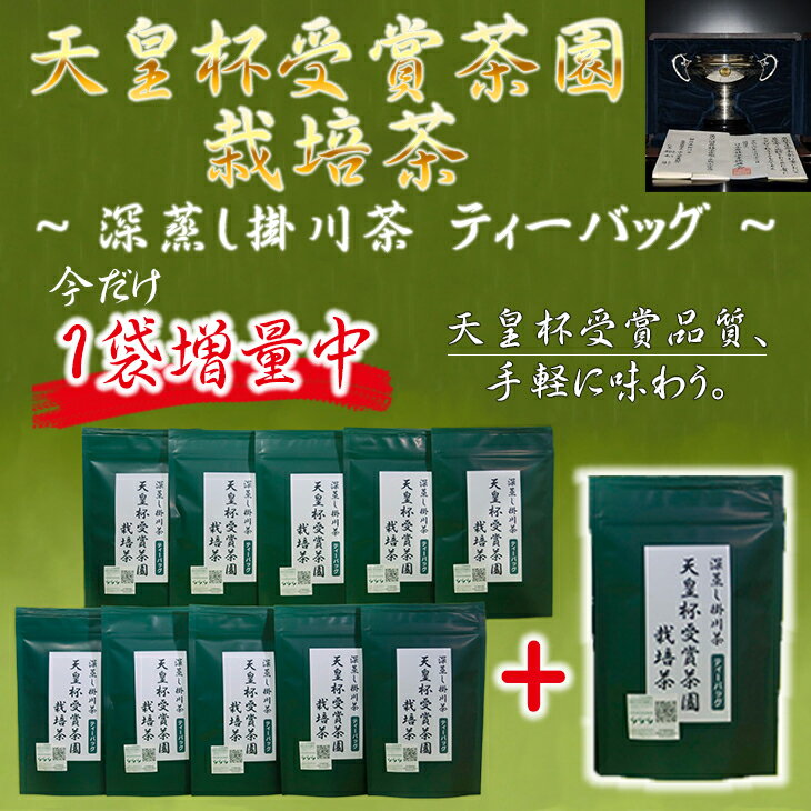 【ふるさと納税】お茶 緑茶【増量タイプ】天皇杯受賞茶園栽培茶深蒸し掛川茶ティーバッグ（5g×10個）×11袋・山英〔 煎茶 ティーバッグ 静岡 掛川茶 お手軽 期間限定 〕･･･