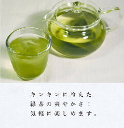 【ふるさと納税】お茶 緑茶【増量タイプ】天皇杯受賞茶園栽培茶深蒸し掛川茶ティーバッグ（5g×10個）×11袋・山英〔 煎茶 ティーバッグ 静岡 掛川茶 お手軽 期間限定 〕･･･ 画像1