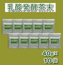 お茶 緑茶 乳酸菌 で発酵させた深蒸し掛川茶　乳酸発酵茶末 山英〔 粉末茶 静岡 掛川茶 GABA ポリフェノール カテキン類 タンニン テアニン ビタミンA ビタミンE アスパラギン酸 グルタミン酸 食物繊維 〕