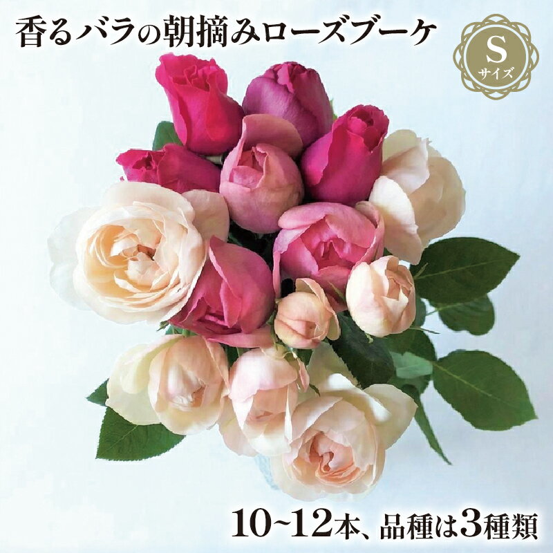 [オンライン決済限定]バラ 花束 ブーケ 朝摘み Sサイズ 母の日用 2024年5月7日から5月12日までにお届け 薔薇 花 ばら 花 パフューム ローズ バラの花束 生花 ギフト 花 プレゼント 祝い 母の日 卒業式 贈り物 贈答 記念日 静岡県 藤枝市