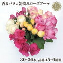 【ふるさと納税】 バラ 花束 ブーケ 朝摘み Lサイズ 薔薇 花 ばら 花 パフューム ローズ バラの花束 生花 ギフト 花 プレゼント 祝い 母の日 卒業式 贈り物 贈答 記念日 バラ バラ花束 バラ朝摘み 香りバラ ギフトバラ 静岡県 藤枝市