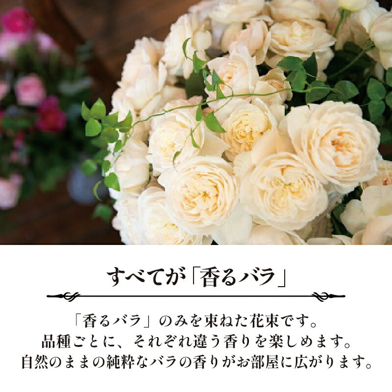 【ふるさと納税】 バラ 花束 ブーケ 朝摘み Mサイズ 薔薇 花 ばら 花 パフューム ローズ バラの花束 生花 ギフト 花 プレゼント 祝い 母の日 卒業式 贈り物 贈答 記念日 バラ バラ花束 バラ朝摘み 香りバラ ギフトバラ 静岡県 藤枝市