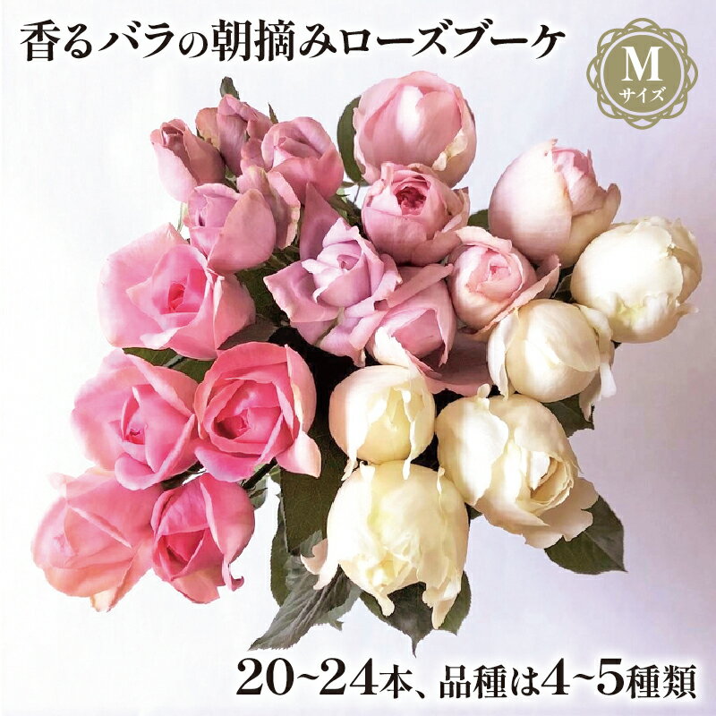 バラの花束ギフト 【ふるさと納税】 バラ 花束 ブーケ 朝摘み Mサイズ 薔薇 花 ばら 花 パフューム ローズ バラの花束 生花 ギフト 花 プレゼント 祝い 母の日 卒業式 贈り物 贈答 記念日 バラ バラ花束 バラ朝摘み 香りバラ ギフトバラ 静岡県 藤枝市