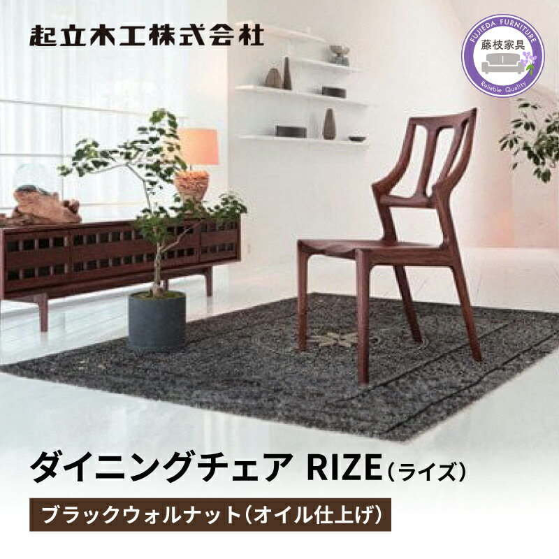 【ふるさと納税】 ダイニングチェア RIZE ラ...の商品画像