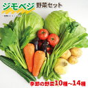 【ふるさと納税】 野菜 詰め合わせ 産地 直送 10~ 14種 減農薬 栽培 旬 採れたて やさい 家庭用 健康 食材 静岡県 藤枝市