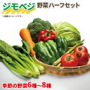 【ふるさと納税】 野菜 詰め合わせ 産地 直送 6 ~ 8種 減農薬 栽培 旬 採れたて やさい お試し 一人暮らし ふたり人暮し 健康 食材 ハーフセット 静岡県 藤枝市