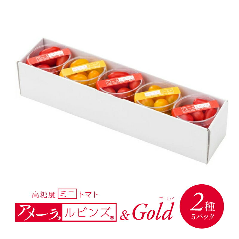 【ふるさと納税】 高糖度 ミニトマト アメーラルビンズ ゴールド トマト 5パック セット 糖度 10度 以上 先行予約 2026年 1月より発送 化粧箱入り ...
