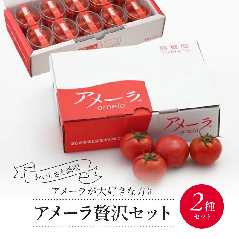 【ふるさと納税】 アメーラ トマト ミニトマト 10パック 