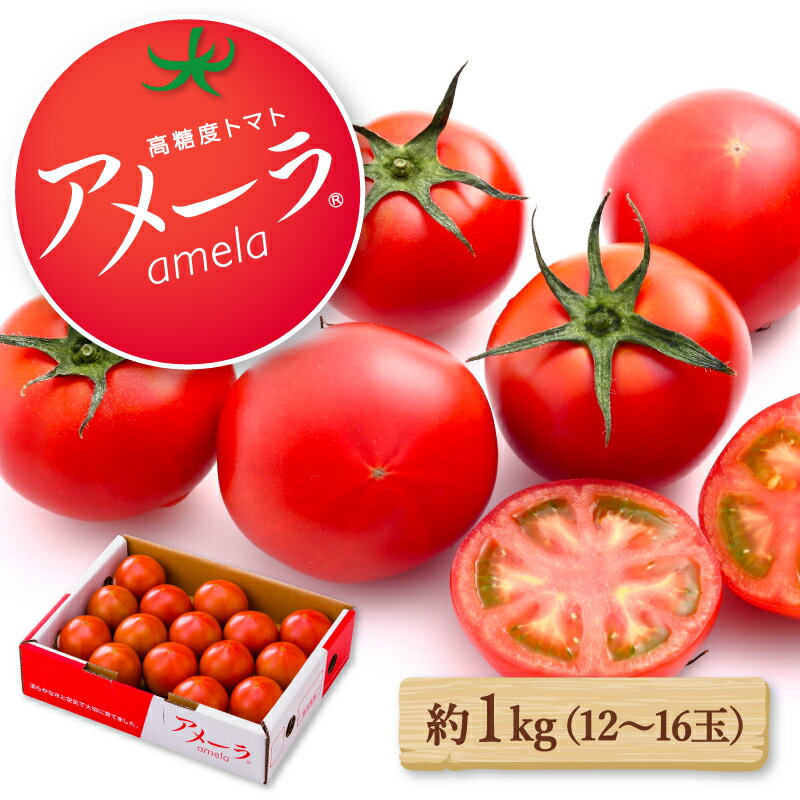 【ふるさと納税】 トマト アメーラ 約 1kg 発送時期が選べる 糖度 7.5 以上 野菜 セット 産地 直送 旬...