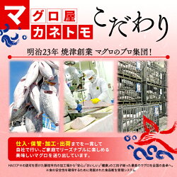 【ふるさと納税】訳あり 天然 南マグロ 中トロ 約400g 不定型柵 まぐろ 解凍 鮪 漬け マグロ ユッケ マグロ 海鮮 ミナミ マグロ 画像2