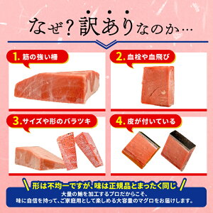 【ふるさと納税】 訳あり まぐろ 目鉢まぐろ 赤身 約700g 不定型柵 まぐろ 冷凍 メバチ マグロ 鮪 漬け 丼 海鮮 刺し身 ユッケ 発送時期が選べる ふるさと納税マグロ ネギトロ にも 10000円 一万円 1万円 静岡県 藤枝