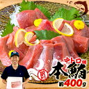  訳あり 本マグロ 中トロ 約400g 鮪 冷凍 不定型 柵 本鮪 漬け丼 海鮮 刺身 魚 鮮魚 海鮮 食品 人気 まぐろ ふるさと ふるさと納税 魚介類 発送時期が選べる マグロ ネギトロ にも ふるさと納税魚介 10000円 1万円