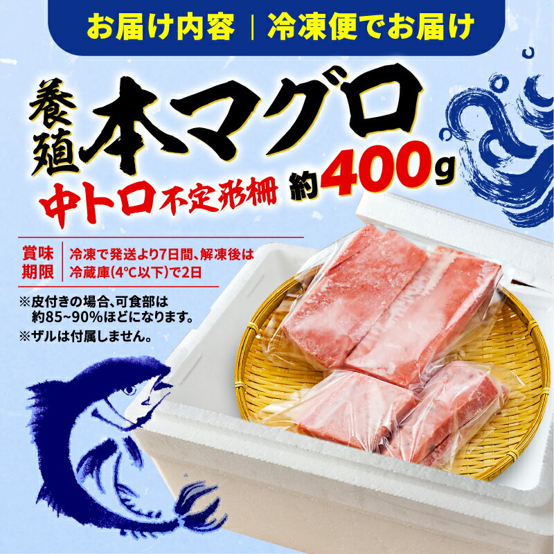 【ふるさと納税】 訳あり 本マグロ 中トロ 約400g 鮪 冷凍 不定型 柵 本鮪 漬け丼 海鮮 刺身 魚 鮮魚 海鮮 食品 人気 まぐろ ふるさと ふるさと納税 魚介類 発送時期が選べる マグロ ネギトロ にも ふるさと納税魚介 10000円 1万円