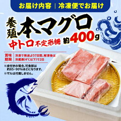 【ふるさと納税】 訳あり 本 マグロ 中トロ 約400g 年内発送 鮪 冷凍 不定型 柵 本鮪 漬け丼 海鮮 刺身 魚 鮮魚 海鮮 食品 人気 まぐろ ふるさと ふるさと納税 魚介類 年内配送 発送時期が選べる ふるさと納税マグロ ふるさと納税まぐろ ふるさと納税魚介 10000円 1万円･･･ 画像1