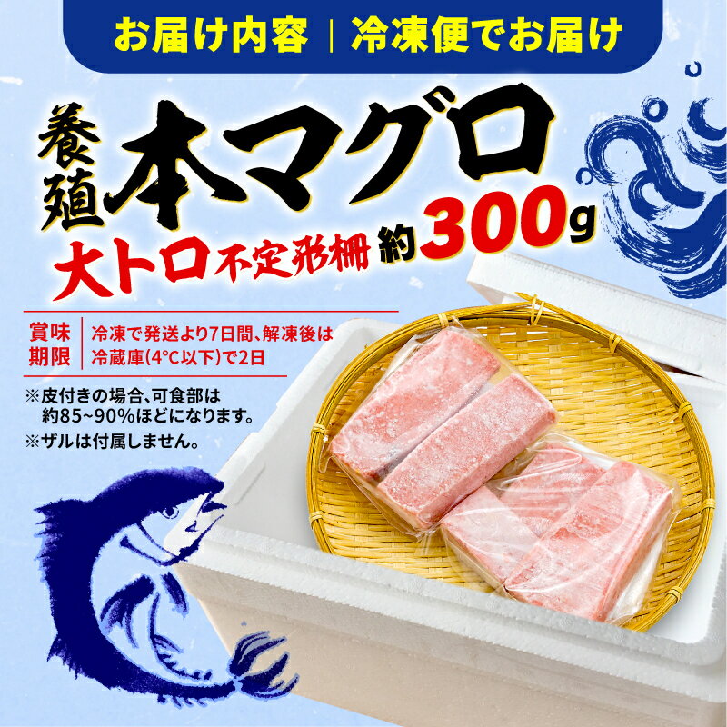 【ふるさと納税】 訳あり 大とろ 本まぐろ 約300g 不定型柵 まぐろ 解凍 本 マグロ 大トロ とろ 鮪 漬け 丼 海鮮 刺し身 ユッケ ふるさと納税マグロ 10000円 1万円 一万円 静岡県 藤枝