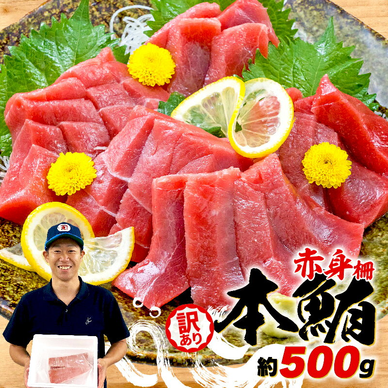 【ふるさと納税】 訳あり 本まぐろ 赤身 約500g まぐろ 解凍 本 マグロ 中トロ 鮪 漬け 丼 海鮮 刺し...