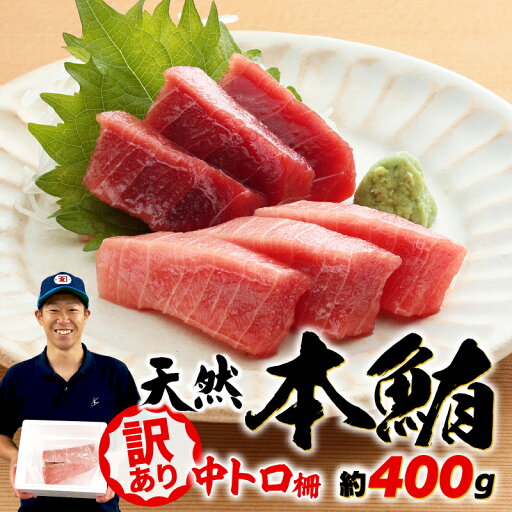 【ふるさと納税】 訳あり まぐろ 天然 本鮪 中とろ 約400g 不定型柵 鮪 まぐろ 冷凍 鮪 漬け マグロ ユッケ 海鮮 本マグロ 本まぐろ 人気 まぐろ おいしい まぐろ 鮪 静岡 藤枝 【ふるさと納税】 訳あり まぐろ 天然 本鮪 中とろ 約400g 不定型柵 鮪 まぐろ 冷凍 鮪 漬け マグロ ユッケ 海鮮 本マグロ 本まぐろ 人気 まぐろ おいしい まぐろ 鮪 静岡 藤枝
