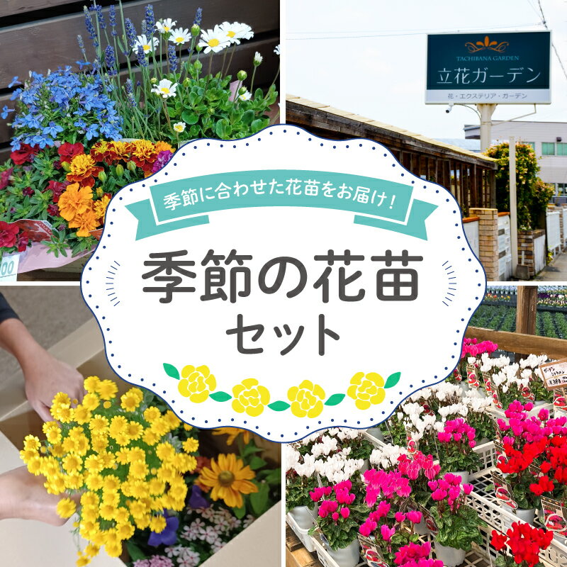 花苗 おすすめ セット 8 ~ 10 ポット ガーデニング 寄せ植え 季節 お花 贈り物 フラワー ギフト 庭園 プランター シーズン おすすめ オススメ 静岡県 藤枝市