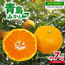 11位! 口コミ数「5件」評価「4.6」 【早期予約2024年12月中旬より順次出荷】静岡県産 特大 青島 みかん 3L 約 7kg 果物 国産 フルーツ 柑橘 蜜柑 ミカン ビタ･･･ 