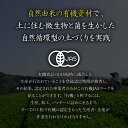 静岡県藤枝市の画像3