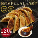 【ふるさと納税】 餃子 120個 国産野菜 国産豚肉 冷凍 餃子 大きめ ぎょうざ ギョウザ ギョーザ おつまみ 冷凍食品 食品 惣菜 中華 惣菜 業務用 おか...
