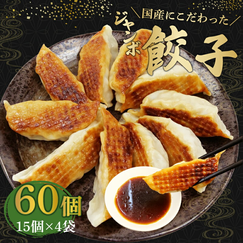 ジャンボ 餃子 60個 国産 野菜 国産 豚肉 冷凍 餃子 大きめ ぎょうざ ギョウザ ギョーザ おつまみ 冷凍食品 食品 惣菜 中華 惣菜 業務用 おかず ビール 静岡県 藤枝市 藤枝 ふるさと納税餃子 10000円 1万円 一万円