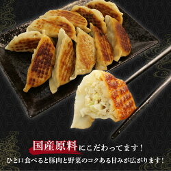 【ふるさと納税】 餃子 シュウマイ 詰め合わせ 国産野菜 国産豚肉 冷凍 餃子 ぎょうざ ギョーザ しゅうまい シューマイ 焼売 おつまみ 冷凍食品 食品 惣菜 中華 惣菜 業務用 おかず ビール･･･ 画像2