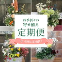 10位! 口コミ数「1件」評価「4」 定期便 年4回 テラコッタ 寄せ植え 季節 花苗 おまかせ ガーデニング フラワー 植物 インテリア お花 贈り物 フラワーギフト プレゼ･･･ 