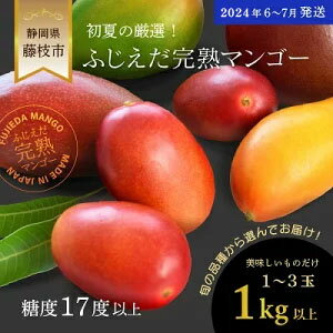 【ふるさと納税】 先行予約 完熟マンゴー 1kg 糖度 17 以上 厳選 フルーツ 果物 国産 フルーツ トロピ...