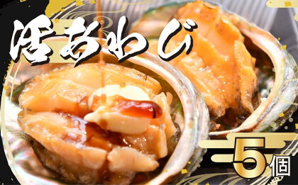 活 あわび 5個 セット 海鮮 鮑 貝 海の幸 高級 グルメ 料理 食材 食品 高級 贅沢 静岡県 藤枝市
