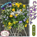【ふるさと納税】 ハンギング バスケット 花苗 おまかせ 寄せ植え 季節 お花 ガーデニング 園芸 植物 生花 ギフト 贈り物 インテリア フラワーギフト プレ...