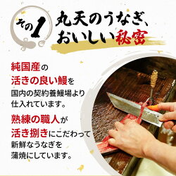 【ふるさと納税】 うなぎ 国産 蒲焼 160g ×2パック 計320g 冷凍 真空パック 鰻 丸天 丑の日 JAS認定活鰻 湯煎 電子 レンジ 調理 可能 無添加 うなぎ丸天 ウナギ 和風 簡単調理 惣菜 おかず 晩ごはん 晩酌 静岡県 藤枝 静岡県 藤枝市･･･ 画像1