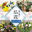 【ふるさと納税】 定期便 12回 12ヶ月 お届け お供えのお花DX(生花組花2束)1年コース 百合 ユリ 菊 カーネーション 花 フラワー ギフト お仏壇 お...