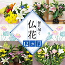 【ふるさと納税】 定期便 12回 12ヶ月 お届け お供えのお花DX（生花組花2束）1年コース 百合 ユリ 菊 カーネーション 花 フラワー ギフト お仏壇 お墓 お参り 法要 法事 御供 お供え用 静岡県 藤枝市