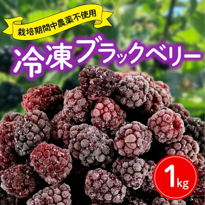 【先行予約】ブラックベリー 1kg 冷凍 国産 フルーツ 果物 イチゴ いちご 苺 木苺 デザート スイーツ ジャム 手摘み 2024年6月24日より順次発送 静岡県 藤枝市