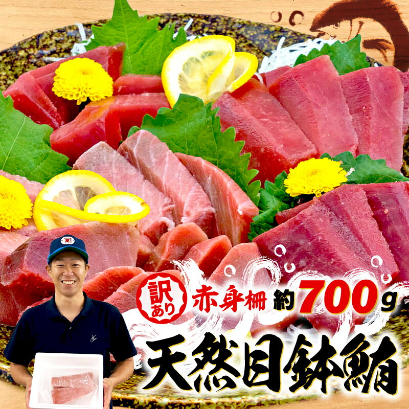 【ふるさと納税】 訳あり まぐろ 目鉢まぐろ 赤身 約700g 不定型柵 まぐろ 冷凍 メバチ マグロ 鮪 漬け 丼 海鮮 刺し身 ユッケ 発送時期が選べる ふるさと納税マグロ ネギトロ にも 10000円 一万円 1万円 静岡県 藤枝