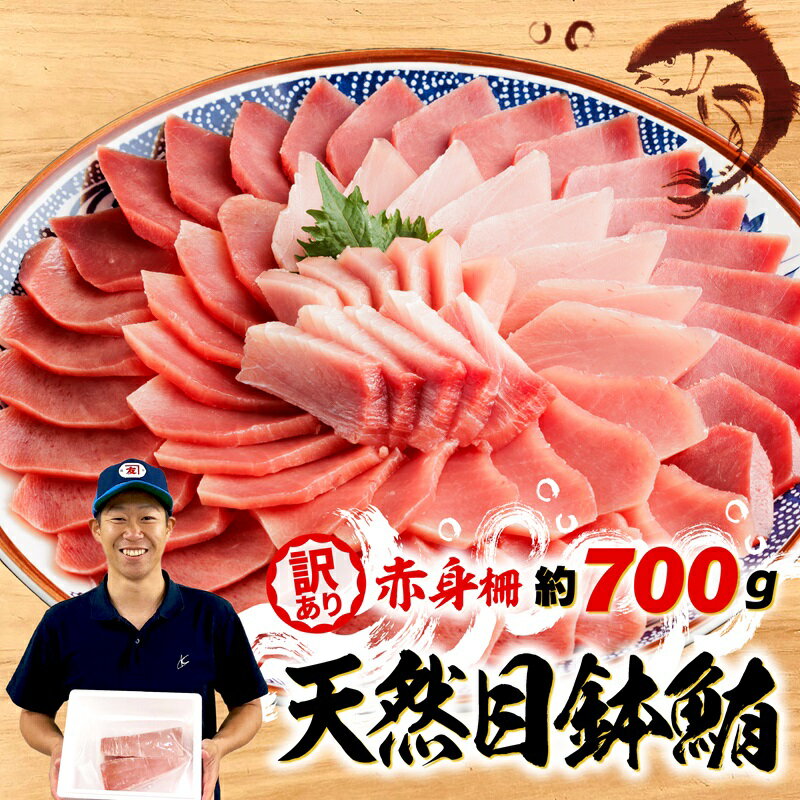 【ふるさと納税】 訳あり まぐろ 目鉢まぐろ 赤身 約700g 不定型柵 まぐろ 冷凍 メバチ マグロ 鮪 漬け 丼 海鮮 刺し身 ユッケ 発送時期が選べる ふるさと納税マグロ ネギトロ にも 10000円 一万円 1万円 静岡県 藤枝