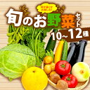 【ふるさと納税】 野菜 詰合せ 10〜12種 おまかせ 旬 まんさいかん ボックス 静岡県 藤枝市