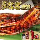 【ふるさと納税】 うなぎ 蒲焼 1尾 140g 冷蔵 鰻 土用 丑の日 電子 レンジ 調理 直火焼き 関西風 ウナギ 和風 惣菜 おかず 晩ごはん 晩酌 静岡県...
